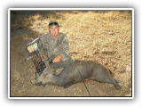 Hog Hunts 004
